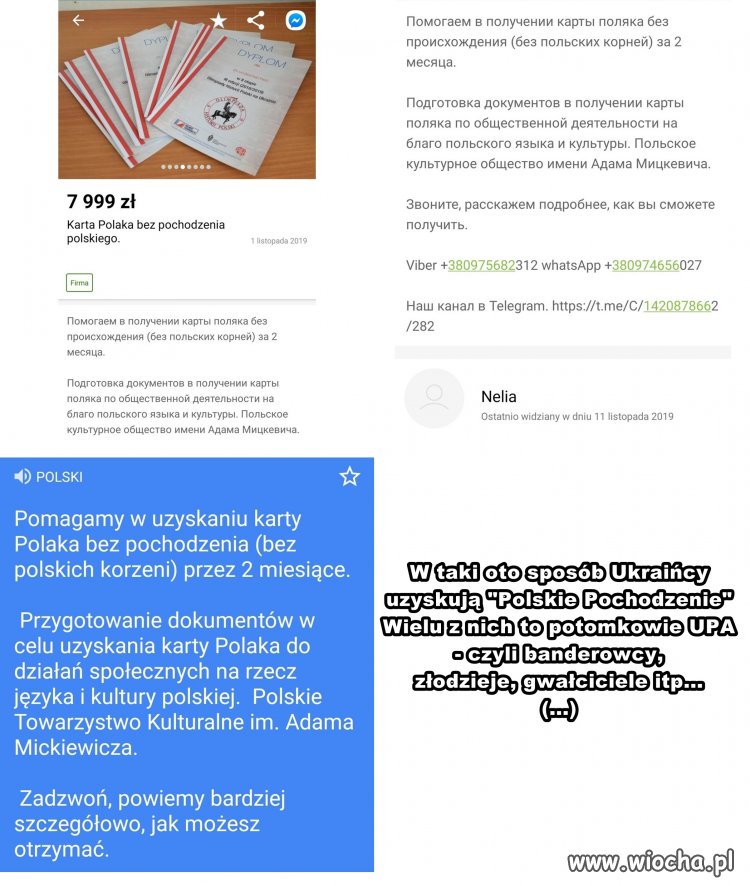 Karta Polaka dla Ukraińców