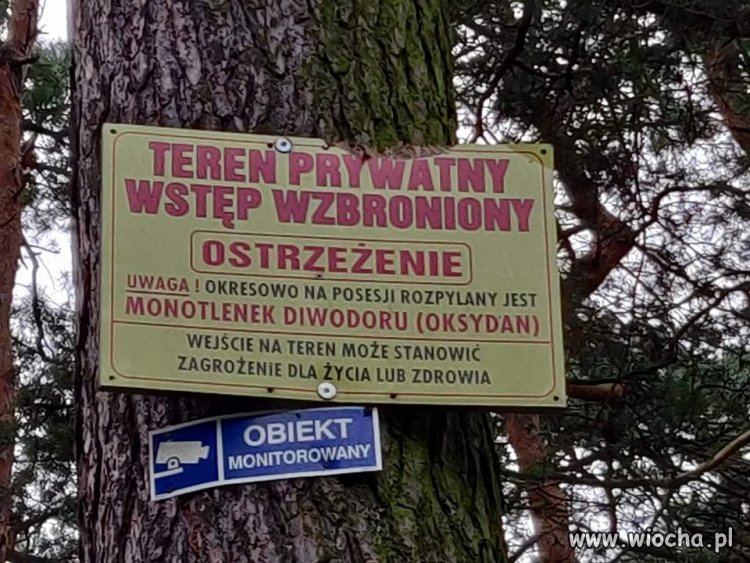 Kto odważny 