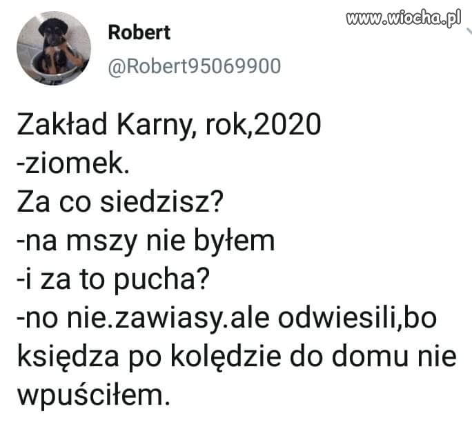 Tymczasem 