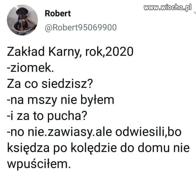 Tymczasem 