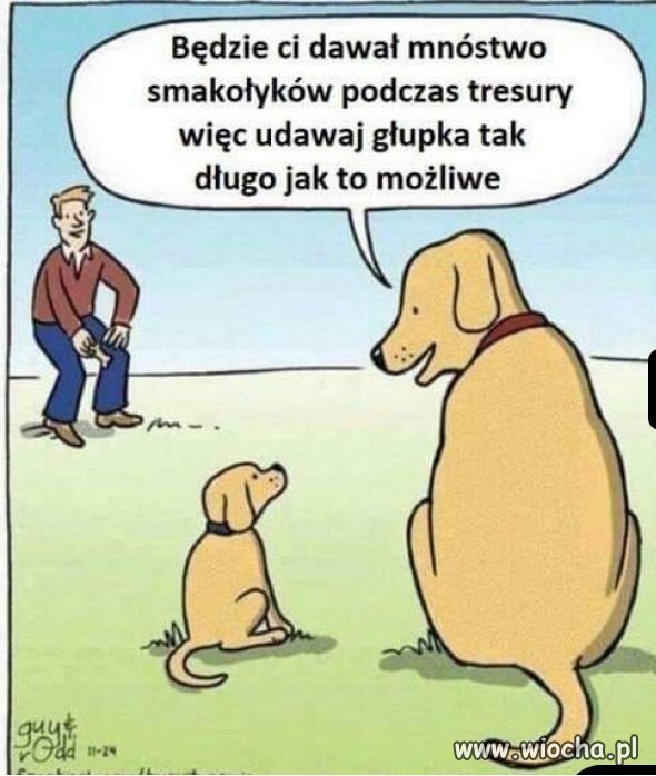 Sprytna
