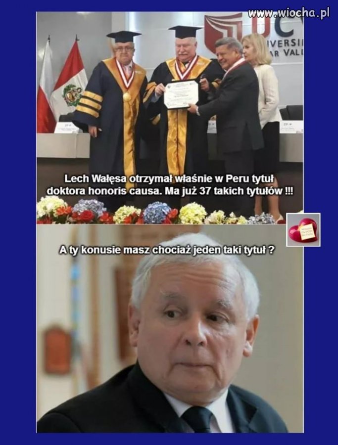 Nie lubię Bolka