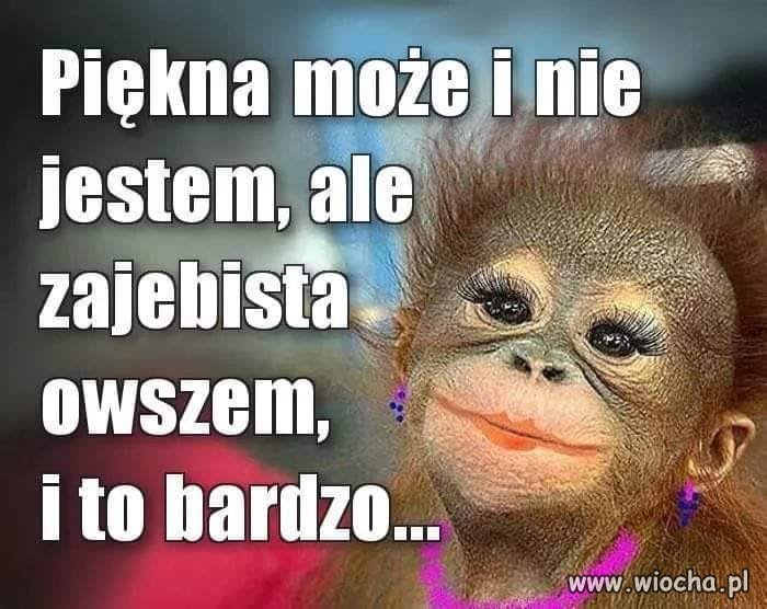 Takie tam...