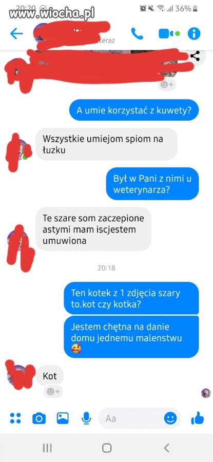 Polska język