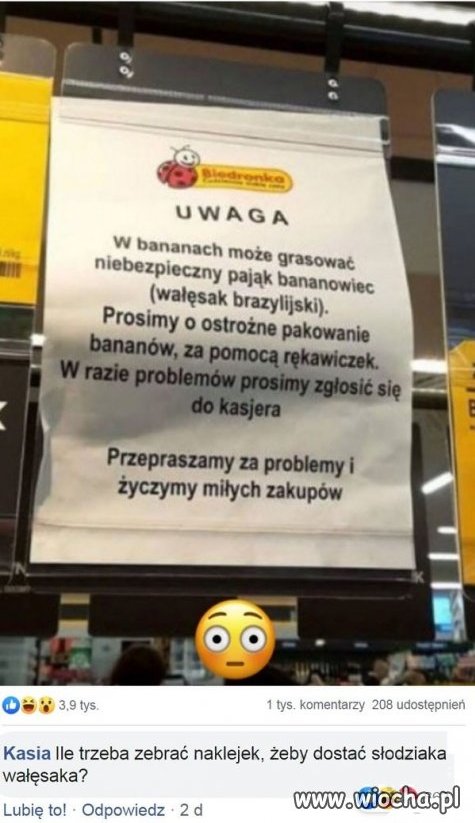 Świat