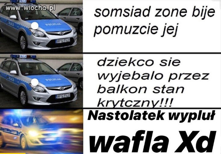 Witamy Kaczogrodzie