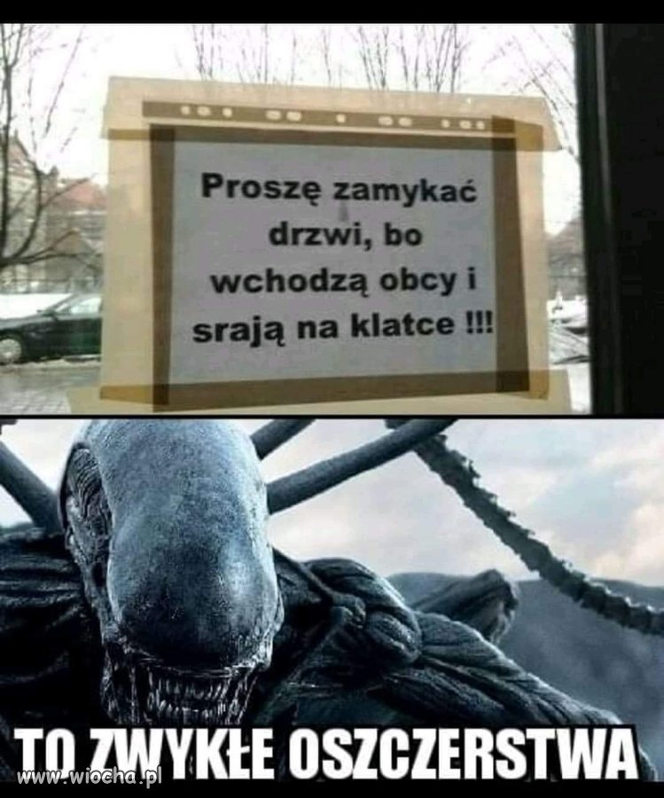 Obcy