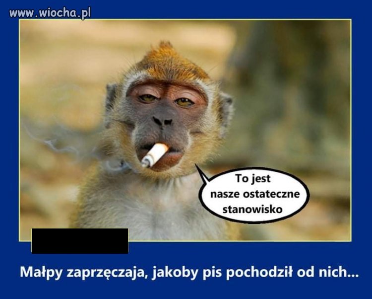 To by dużo 