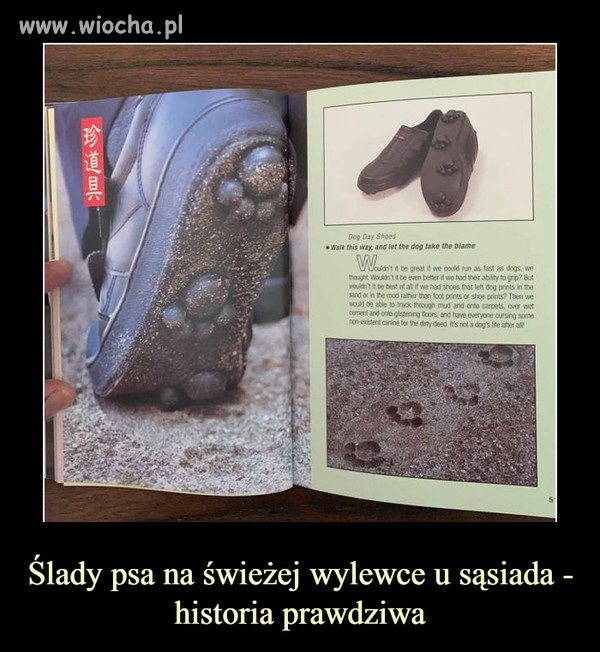I wszystko jasne