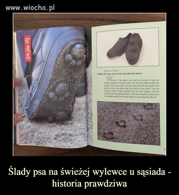 I wszystko jasne