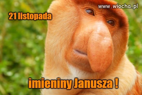 21 listopada