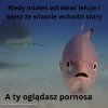 Stary