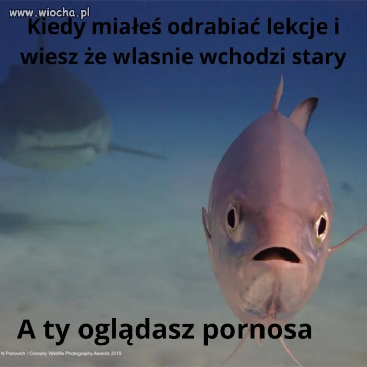 Stary