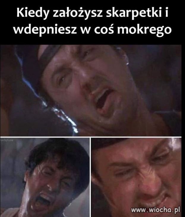 100 %