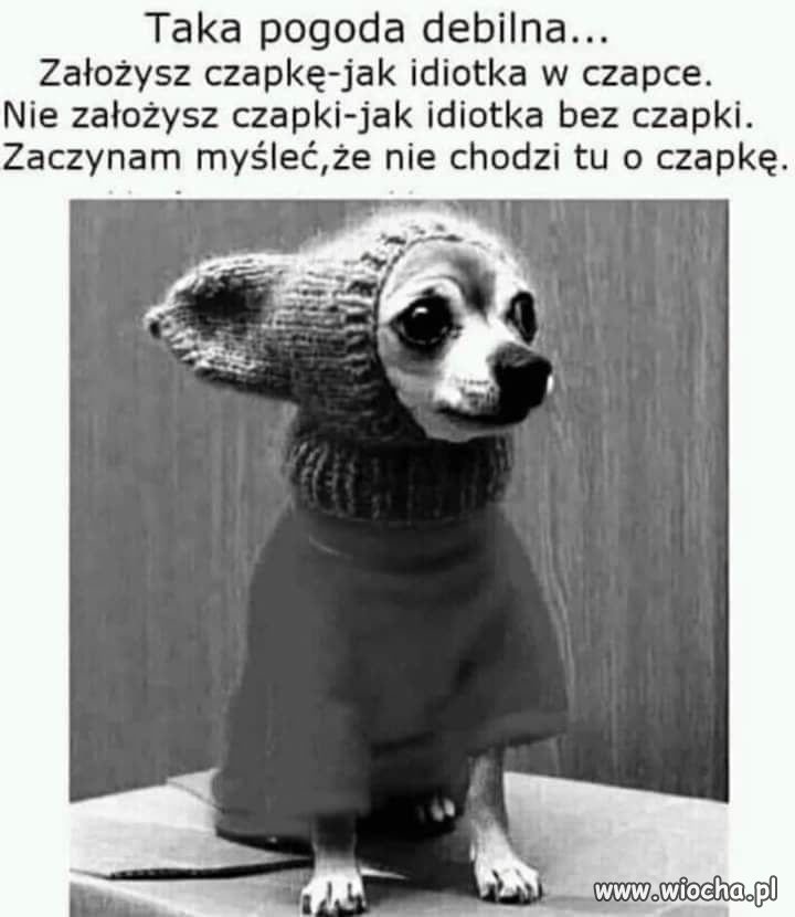 Czapka