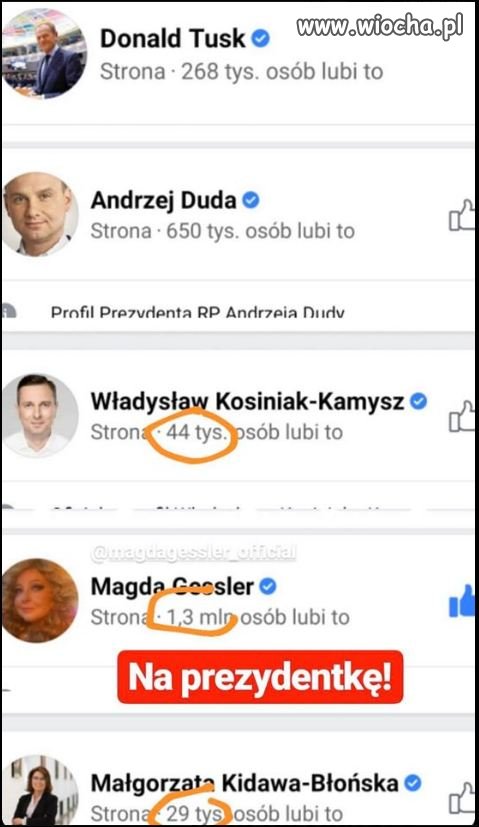 Kucharka prezydentem ?