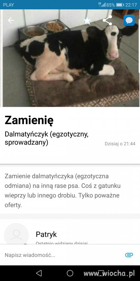 Zamienie dalmatyńczyka... 