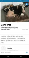 Zamienie dalmatyńczyka... 