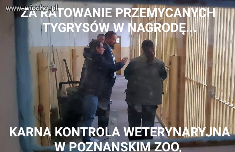 Za bycie zbyt asertywnym wobec urzedoli z pis...