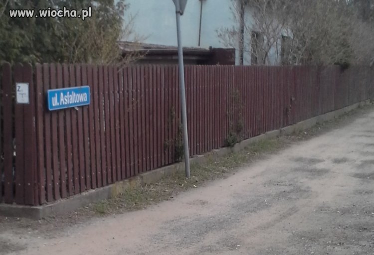 Tymczasem w pewnej podwarszawskiej miejscowości
