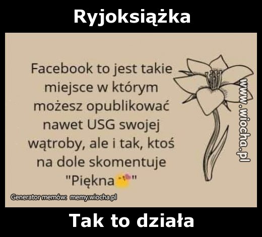 Ryjoksiążka