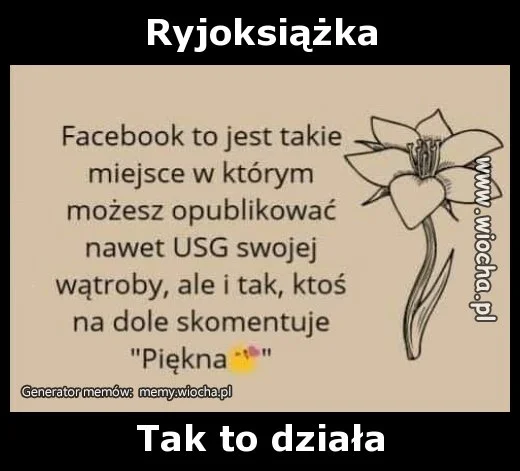 Ryjoksiążka