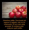 Cały czas pod górkę