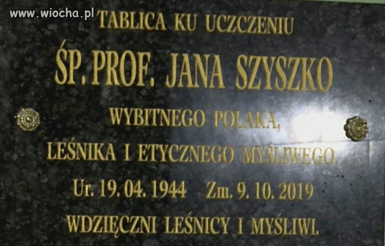 Chyba kogoś poniosło