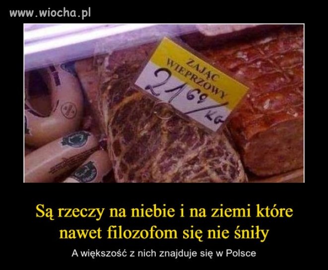 Ciekawe jak smakuje?
