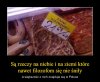 Ciekawe jak smakuje?