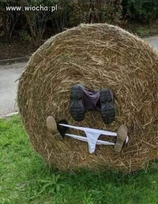 Rolnik szukał żony...