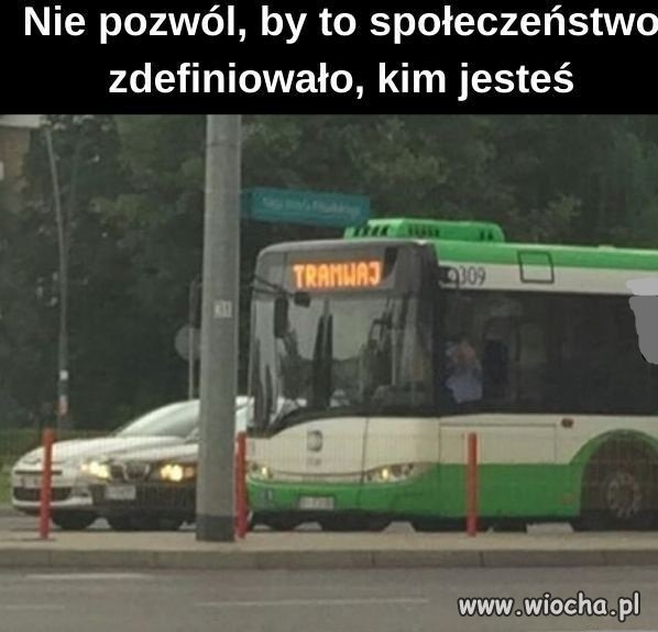 Autobus