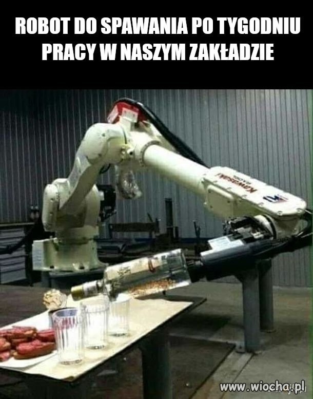 Po tygodniu pracy w naszym zakładzie 