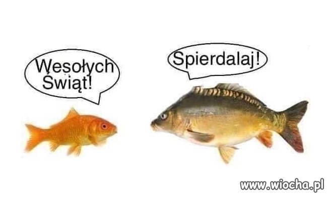 Samo życie...