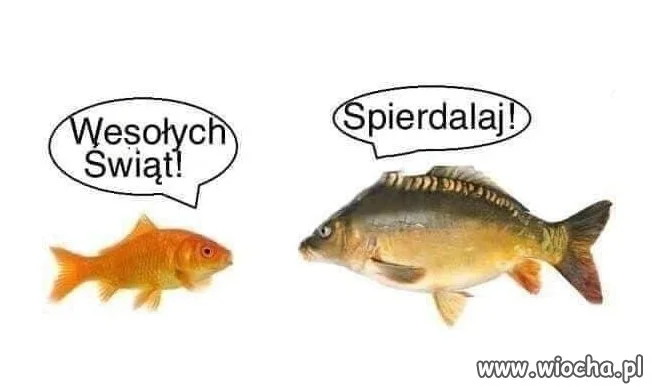 Samo życie...