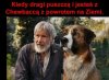 Dobre dropsy były, ale już puszczają