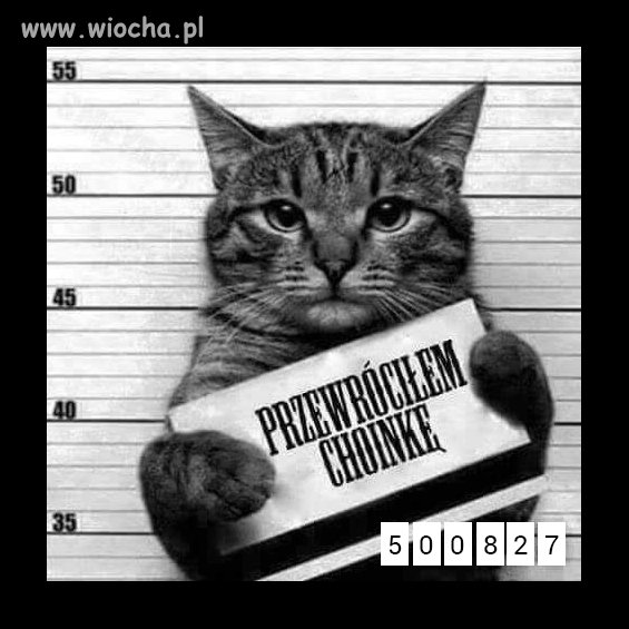 Świąteczne HEHESZKI