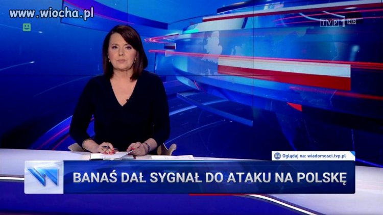 KurWizja