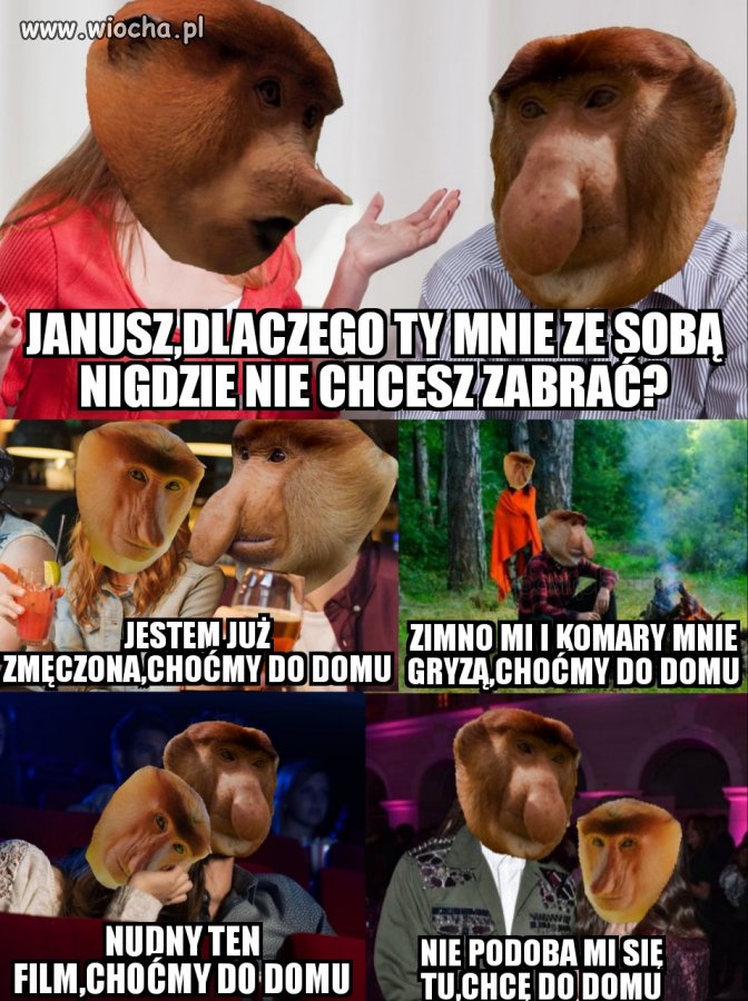 No Dlaczego?