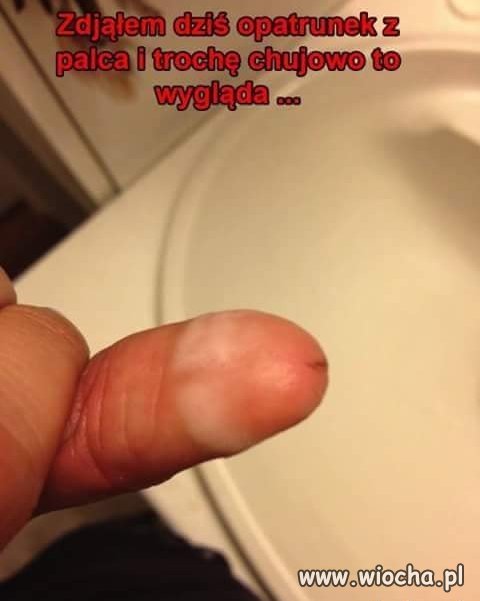 Opatrunek