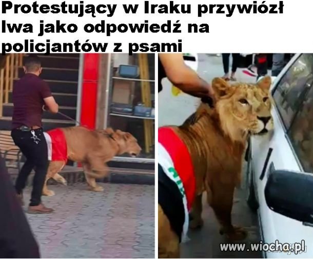 Szach mat
