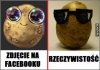 Zdjęcie z fb vs rzeczywistość.