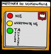 Tak działa głosowanie