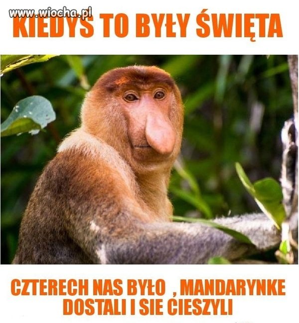 No niby śmieszne ale...