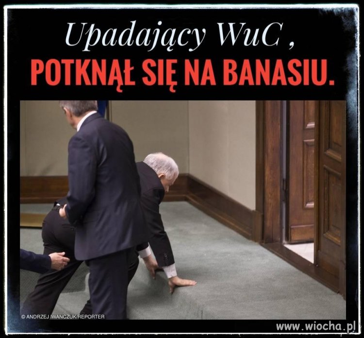 To nie ludzie, to wilki
