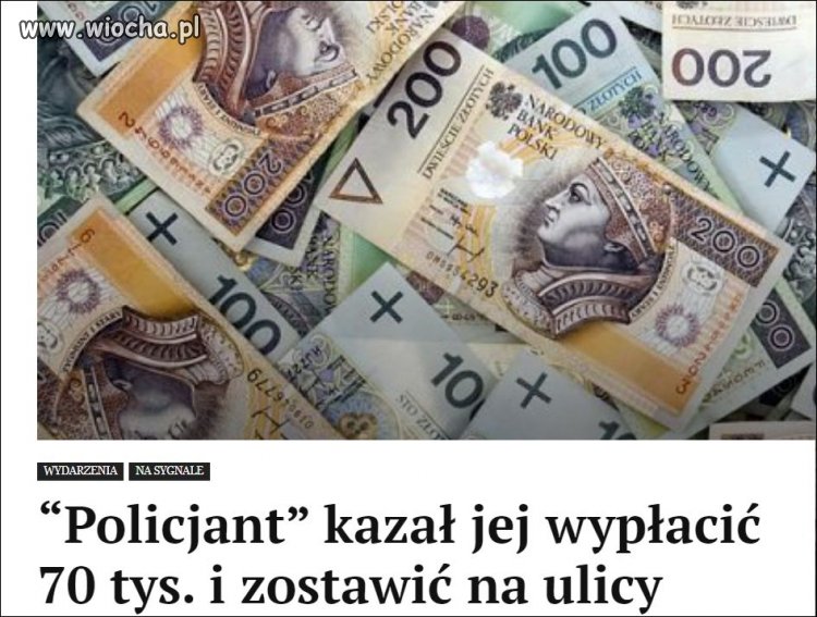 Głupich nie sieją