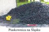 Ślunsk