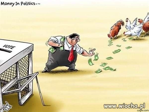 Polityka