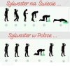 Sylwester