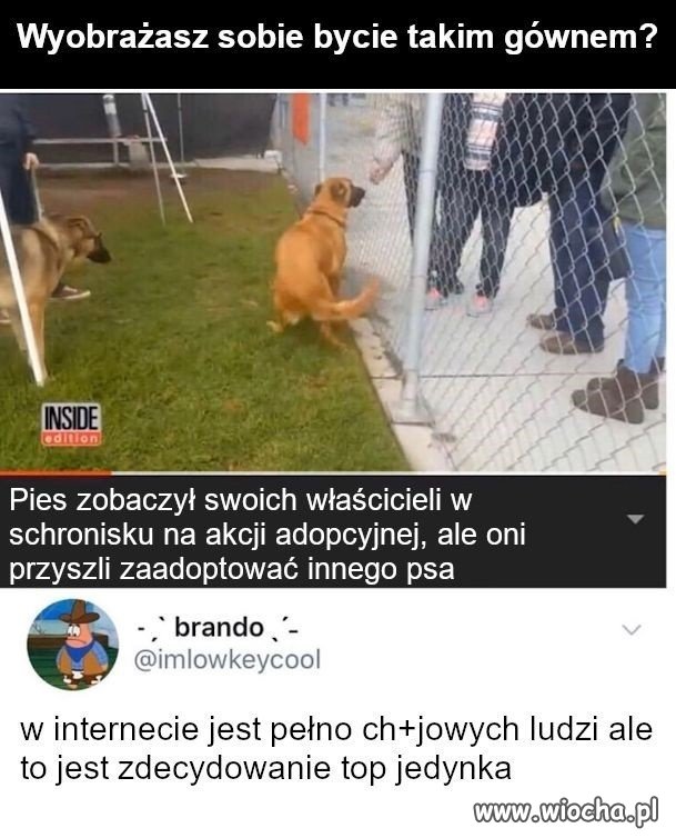 Bez komentarza...